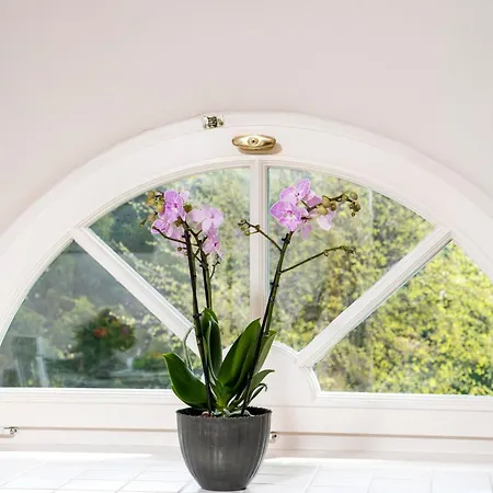 Haus Boehm Appartement *